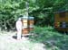 04_Bienenstand_Sommer