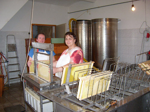 01_Honig_schleudern